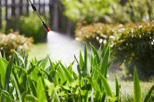 24/7 Emergency Wasp Removal experts in Americus, GA