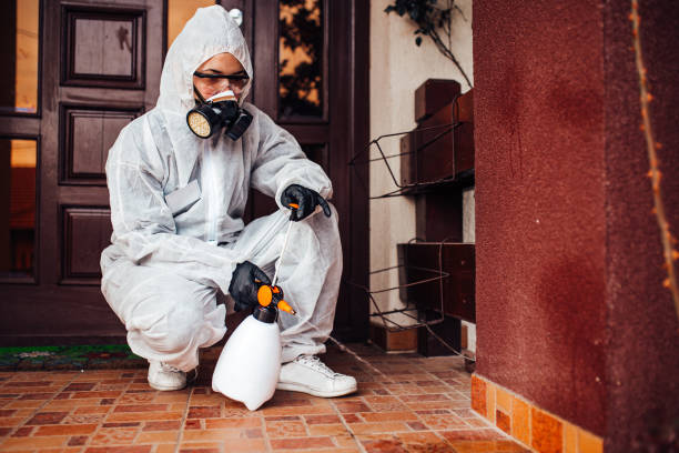 Reliable Wasp Removal contractor in Americus, GA by Show Me Pest Control