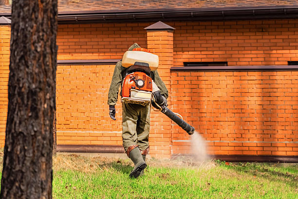 Top rated local Wasp Removal specialists in Americus, GA